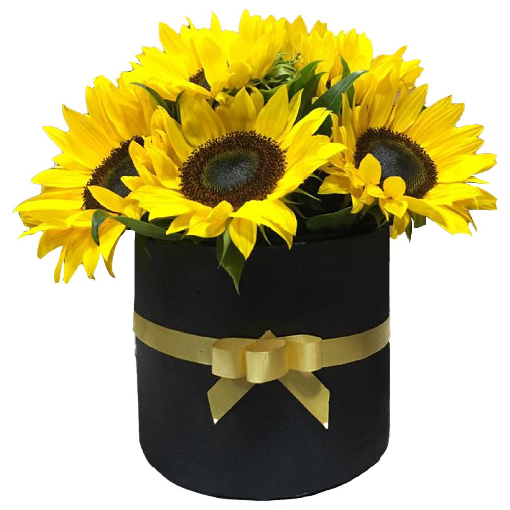 Caja de Girasoles